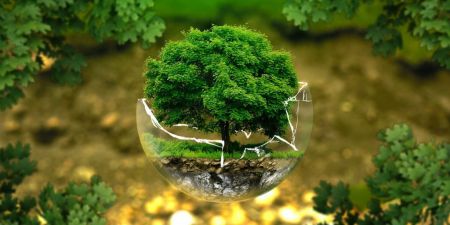 Environnement: Journée mondiale de l&rsquo;environnement, les écologistes lancent un appel aux gouvernements de la région des grands lacs à stopper la guerre qui détruit la biodiversité à l&rsquo;est de la RDC