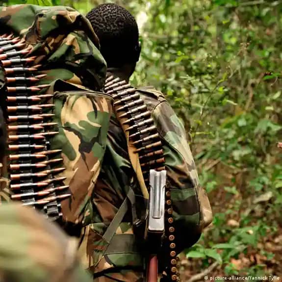 Nord-Kivu : Mbau, Oicha et Mamove, des entités menacées par les ADF