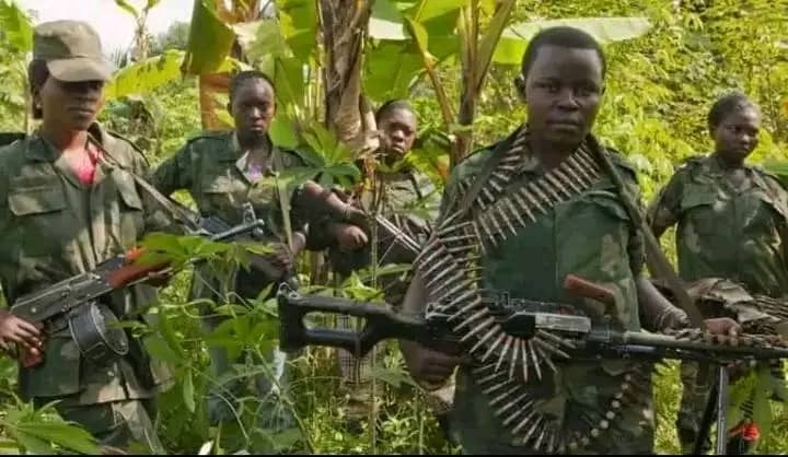 Nord-Kivu : Les groupes d&rsquo;autodéfense ne lâchent pas la traque des éléments M23