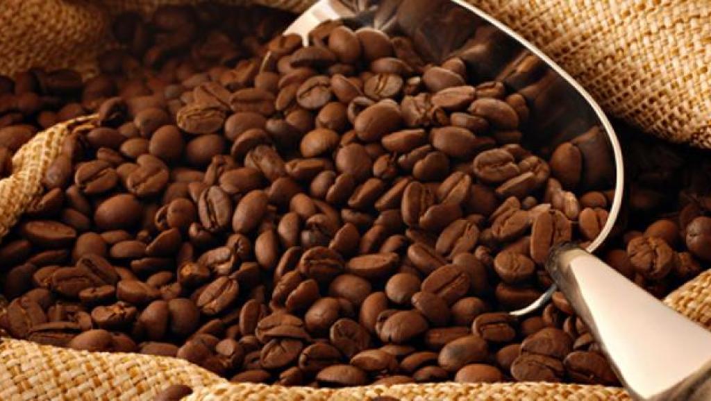 Cacao et conflits à Beni : Les mystères des tueries révélés