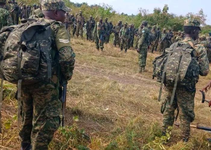 Ituri: l&rsquo;UPDF visé par une embuscade des CODECO