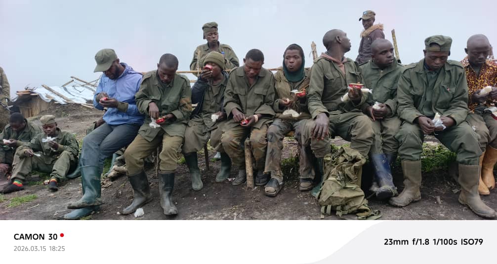 Sud-Kivu : Reddition de 20 rebelles de l’AFC-M23 et Twirwaneho à Fizi