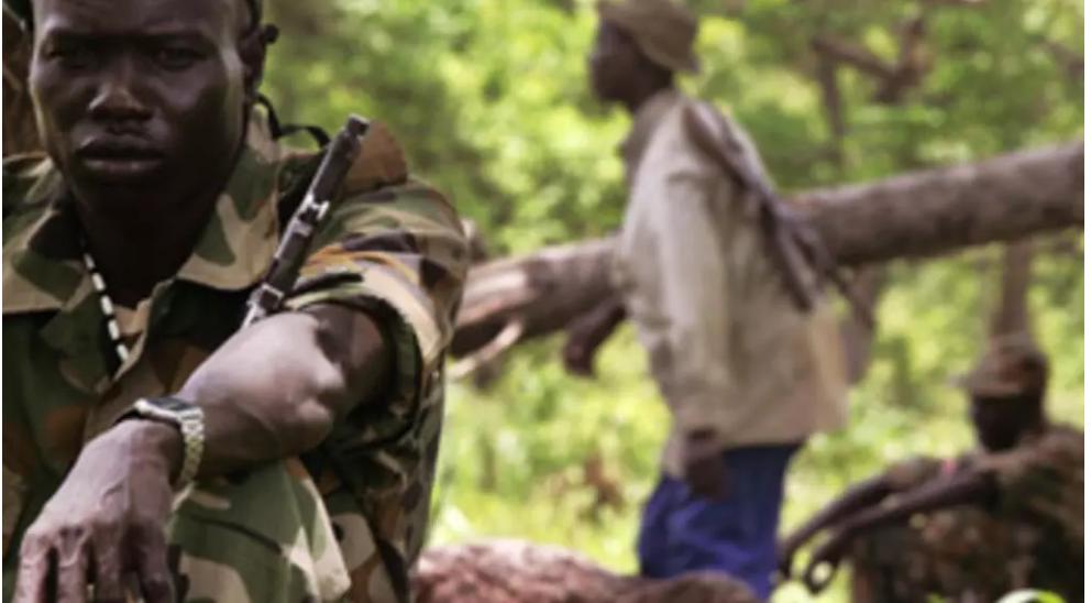 Mambasa: Plus de 30 personnes exécutées par les ADF après avoir été encerclées