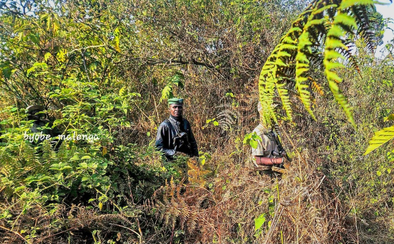 Sud-Kivu : 23 rebelles neutralisés et 4 localités reprises par les FARDC à Uvira et Fizi