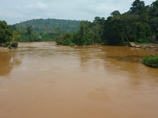 Ituri : Plusieurs civils se noient dans la rivière en fuyant une attaque des ADF près de Komanda